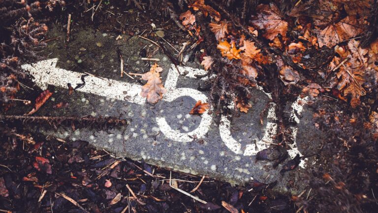 a close up of a street sign surrounded by leaves